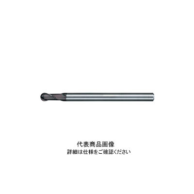 日進工具 NS TOOL 超硬エンドミル MRB 230 R0.5×6(d4) 2本セット 