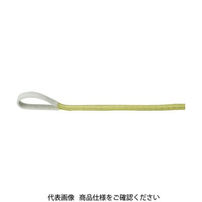 トラスコ中山 TRUSCO ポリエステルスリング 両端アイ形 25mmX0.8m TPS25-08 1本 768-1585（直送品）