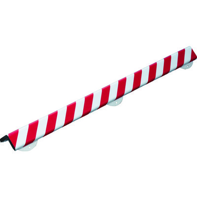 岩田製作所 IWATA バンパープロ BP30 (1m) BP30-L1 1本 759-4569（直送品）