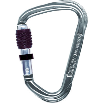 AUSTRIALPIN ALPIN カラビナ 2800 EVO スクリューロック 線径14.0 シルバー KW11A 1個 766-9704（直送品）