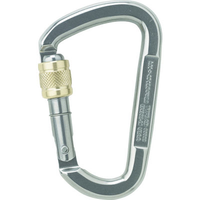 AUSTRIALPIN ALPIN カラビナ D ASYMMステンレス スクリューロック 線径14.0 シルバー TN11AK-I 1個（直送品）