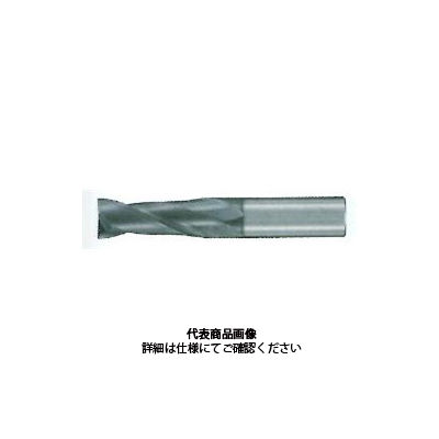 不二越 GSX MILL 2枚刃 2.5D GSX20700Pー2.5D 1本（直送品） - アスクル