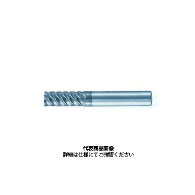 SEEM440-100-3D 4枚刃超硬スクエアエンドミル 不等分割 ギガ