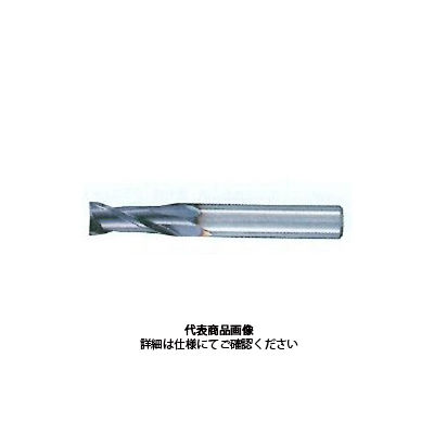 不二越 AGミル 2枚刃 ミディアム 2AGEM 7 x 10 1本（直送品） - アスクル