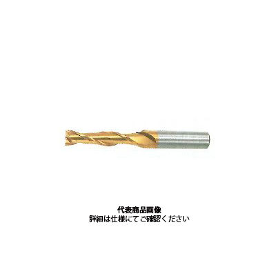 不二越 Gロングエンドミル 2枚刃 SL2GE 20X20SL2 1本（直送品） - アスクル