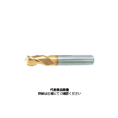 nachiエンドミルナチエンドミル21本セット ナチ エンドミル】のおすすめ人気ランキング - モノタロウ