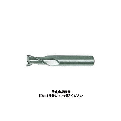 不二越 NATACエンドミル 2NAC 16.9X20S2 1本（直送品） - アスクル