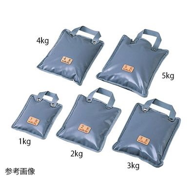 アズワン 砂袋 手提式4kg 300×230グレー 0-620-04 1個（直送品）