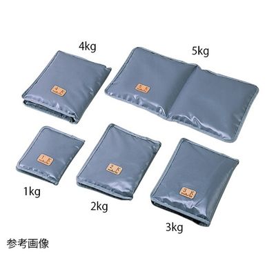 アズワン 砂袋 病室用4kg 280×460グレー 0-620-09 1個（直送品）