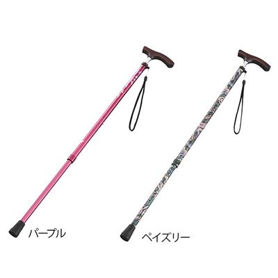 光華 伸縮杖(スリムネックタイプ) ペイズリー(女性用) B059-608SD-677 1本 8-6961-02（直送品）