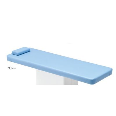 アズワン 診察台カバー(NVー2W用) 専用診察台カバー ブルー 8-8329-01 1枚（直送品）