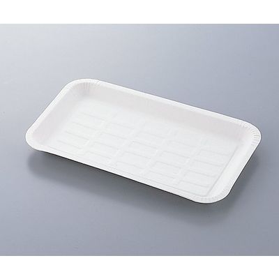 日昭産業 ディスポトレー 130×220×15mm CT-5 13011 1セット(200枚:100枚×2袋) 0-1198-04（直送品）