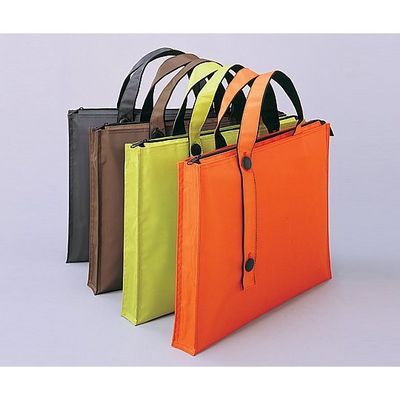 LIHIT LAB. 2wayキャリングバッグ (35mm/橙) A-7650-4 1セット(2個) 8-3230-01（直送品）