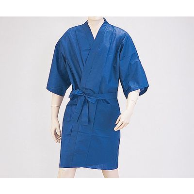 アズワン ディスポ検診衣(個包装) AD-500 1セット(10枚:1枚×10袋) 8-5976-01（直送品）