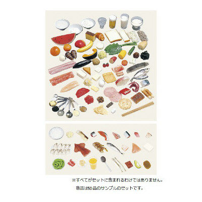 イワイサンプル 糖尿病指導キット(1~50品セット) 16-B50 1個 24-4508-01（直送品）