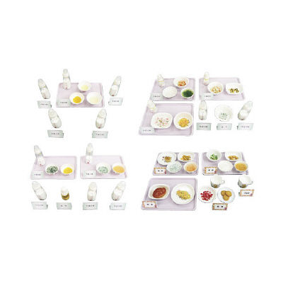 イワイサンプル 離乳食献立モデルA(一式セット) 29-A 1個 24-4510-00（直送品）