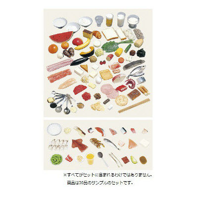 イワイサンプル 糖尿病指導キット(1~30品セット) 16-A30 1個 24-4508-00（直送品）