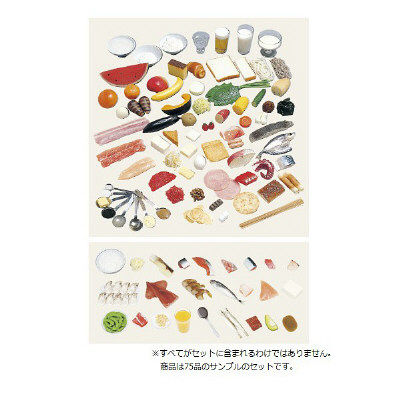 イワイサンプル 糖尿病指導キット(1~75品セット) 16-C75 1個 24-4508-02（直送品）