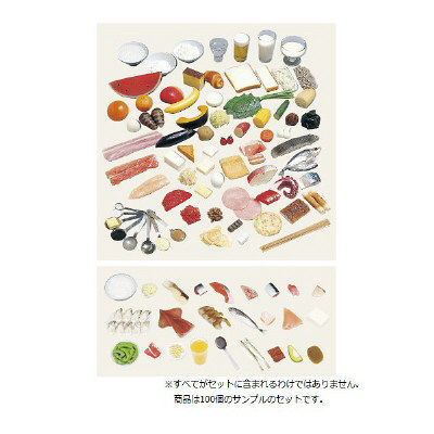 イワイサンプル 糖尿病指導キット(1~100品セット 16-D100 1個 24-4508-03（直送品）