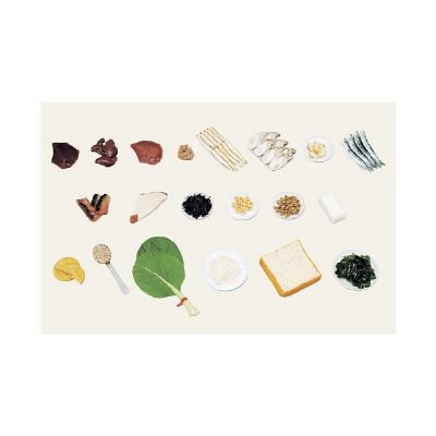 イワイサンプル 鉄分を多く含む食品モデル(20品) 49-A 1個 24-4512-00（直送品）
