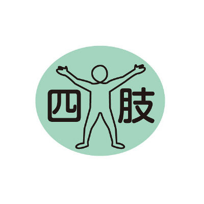 金鵄製作所 部位ラベル 四肢(D-2) 86524602x21 1袋(100枚入) 23-2729-00-02（直送品）