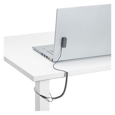 サンワサプライ アラームセキュリティ(ループワイヤー) SL-29ALMN 1個（直送品）