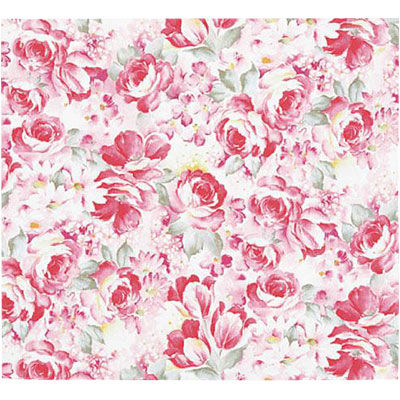 ベルベ ラッピング 包装紙 マレーネ H半切 446 1包：500枚（100×5）（直送品）