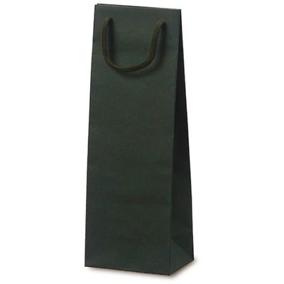 ベルベ 紙袋 手提袋 T-W カラークラフト グリーン 1022 1包：100枚（10×10）（直送品）