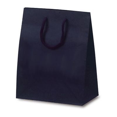 ベルベ 紙袋 手提袋 T-2 カラークラフト ネイビー 1025 1包：100枚（10×10）（直送品）