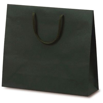 ベルベ 紙袋 1030 手提袋 T-6 カラークラフト グリーン 1030 1包：100枚（10×10）（直送品）
