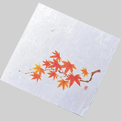紅葉様 576袋 まるで絵本の中のようなイベント「もみじ市」に行っ