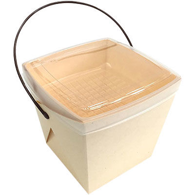 協和パック 取っ手付き 紙製弁当容器 デリメイト TK125 ぽらむ 00521292 1包：240枚（20×12）（直送品）