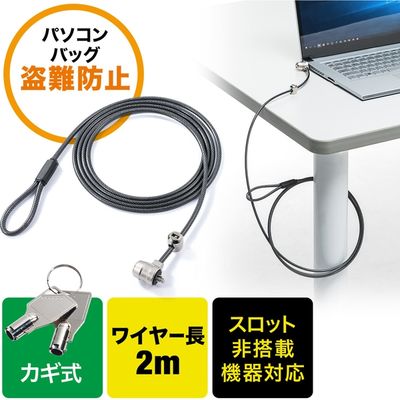 サンワダイレクト セキュリティワイヤー 200-SL046 1個（直送品）