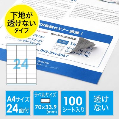 サンワダイレクト ラベルシール（下地が透けない 訂正シール・24面・A4・楽貼りタイプ） 300-DTP24 1個（直送品）