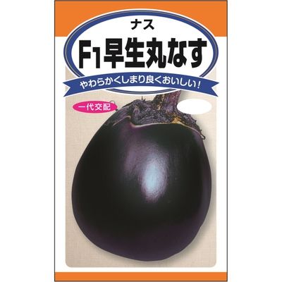 ニチノウのタネ F1早生丸なす 日本農産種苗 4960599115201 1セット（3