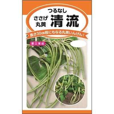 ニチノウのタネ 清流（つるなしささげ） 日本農産種苗 4960599140807 1セット（5袋入）（直送品）