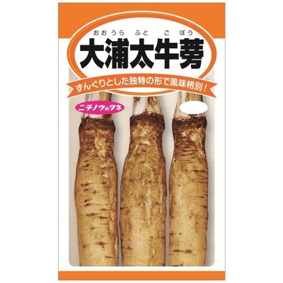 ニチノウのタネ 大浦太牛蒡 日本農産種苗 4960599149206 1セット（5袋
