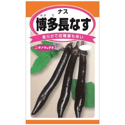 ニチノウのタネ 博多長なす 日本農産種苗 4960599178206 1セット（5袋
