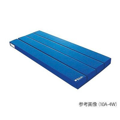 ﾛｰﾙﾏｯﾄ 6A-4W Mﾌﾞﾙｰ RM-6A-4W-B-1 | コクゴeネット