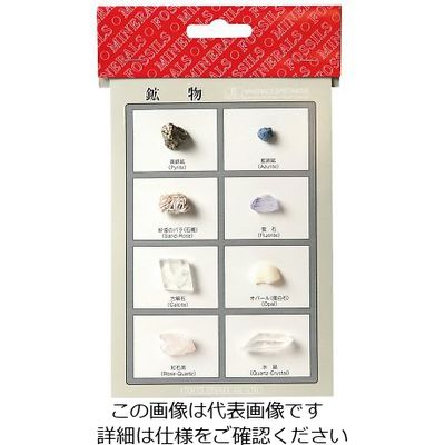 東京サイエンス 鉱物標本(鉱物標本8種) 3-655-02 1セット（直送品）