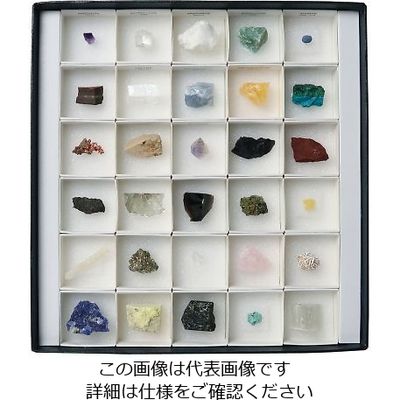 東京サイエンス 鉱物標本(鉱物標本30種) 3-655-05 1セット（直送品）