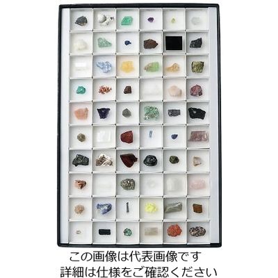 東京サイエンス 鉱物標本(鉱物標本60種) 3-655-06 1セット（直送品）