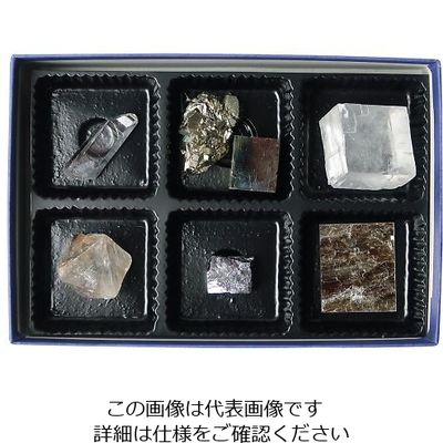 東京サイエンス 鉱物標本(鉱物結晶標本6種) 3-655-07 1セット（直送品）