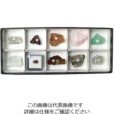 東京サイエンス 鉱物標本(蛍光鉱物標本10種) 3-655-08 1セット（直送品）