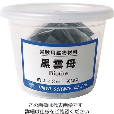 東京サイエンス 実験用鉱物材料(ケース入り) 黒雲母 3-656-02 1セット（直送品）