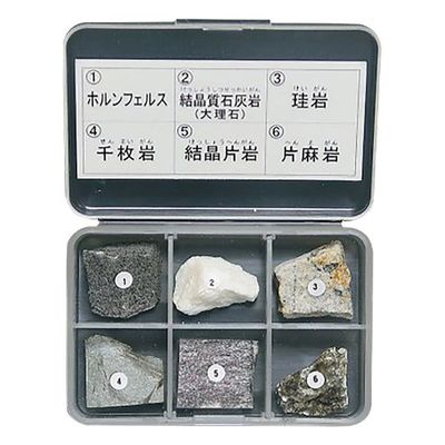 東京サイエンス 岩石標本(岩石標本変成岩6種) 3-657-03 1セット（直送品）