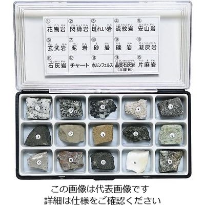 東京サイエンス 岩石標本(岩石標本15種) 3-657-06 1セット（直送品）