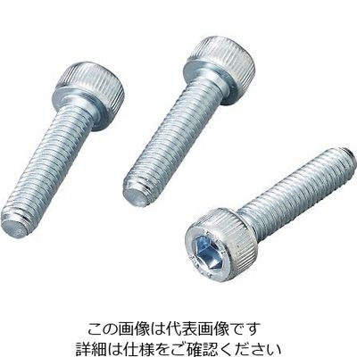 サンコーインダストリー 六角穴付きボルト ステンレス 30本入 M68 1袋(30本) 4-302-54（直送品）