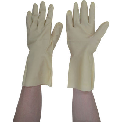 東和コーポレーション ビニスター 天然ゴム手袋 ビューティー中あつ手 L 266-L 1双 854-8682（直送品）