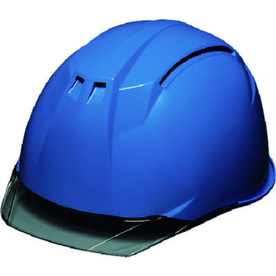 DIC 透明バイザーヘルメット AA11EVOーC KP スカイブルー/スモーク AA11EVO-C-HA6-KP-B/S 1個（直送品）